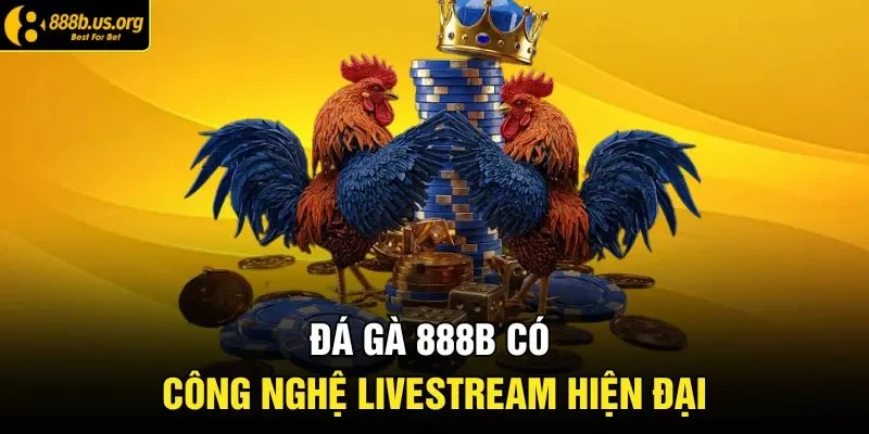 Đá gà 888B có công nghệ livestream hiện đại