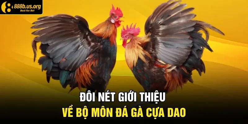 Đôi nét giới thiệu về bộ môn đá gà cựa dao
