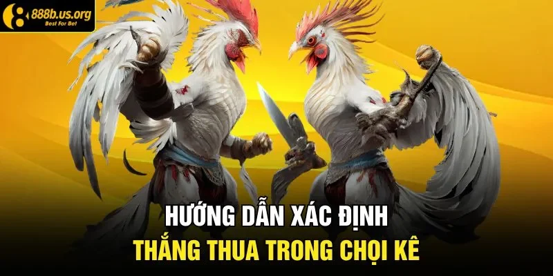 Hướng dẫn xác định thắng thua trong chọi kê