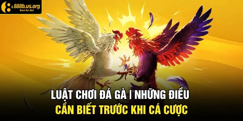 Luật chơi đá gà