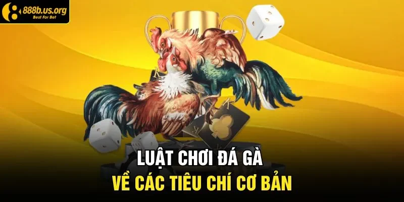 Luật chơi đá gà về các tiêu chí cơ bản