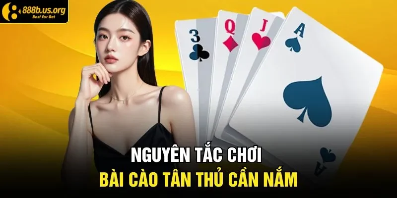 Nguyên tắc chơi bài cào tân thủ cần nắm