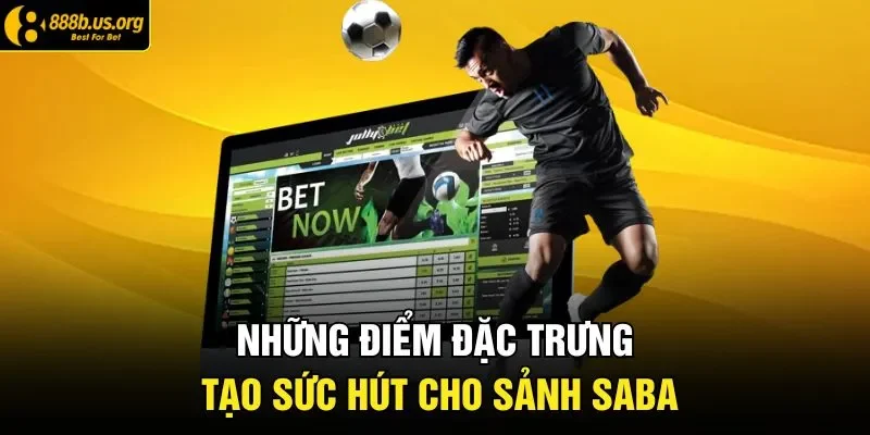Những điểm đặc trưng tạo sức hút cho sảnh Saba
