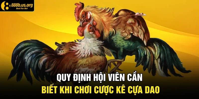 Quy định hội viên cần biết khi chơi cược kê cựa dao