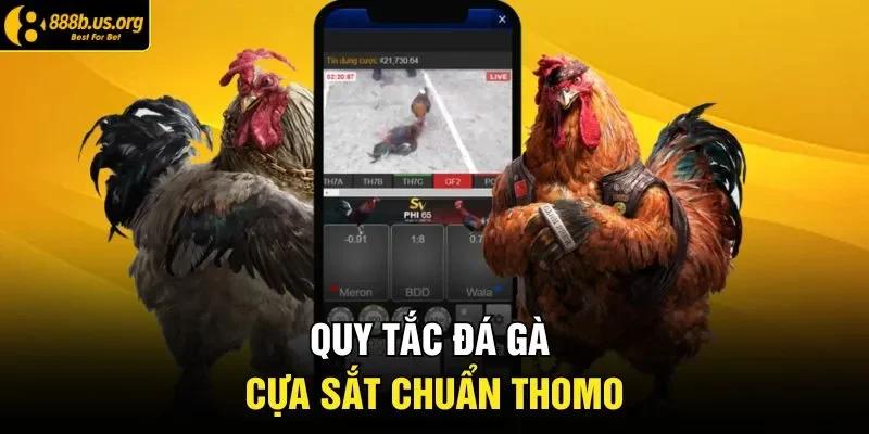 Quy tắc đá gà cựa sắt chuẩn Thomo