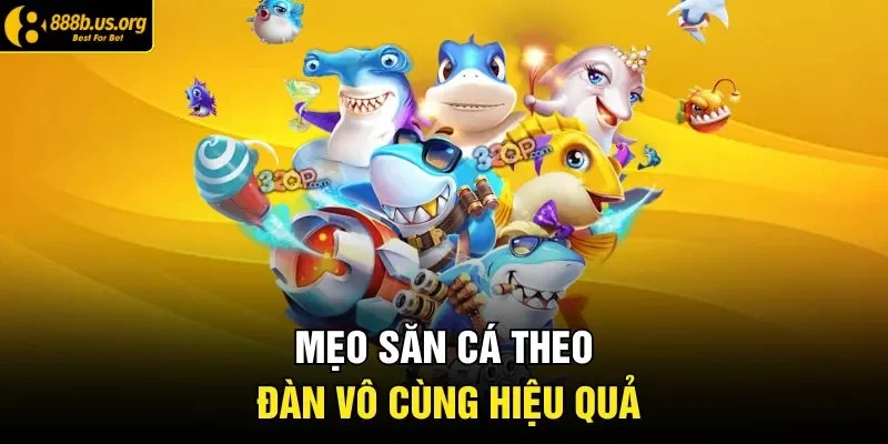 Mẹo săn cá theo đàn vô cùng hiệu quả